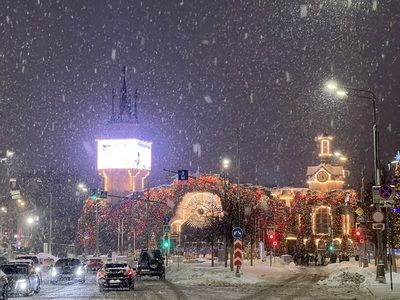 Новогодний зоопарк