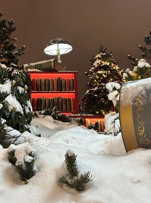 Зима в москве