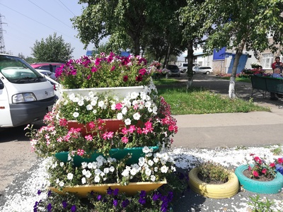 Клумба