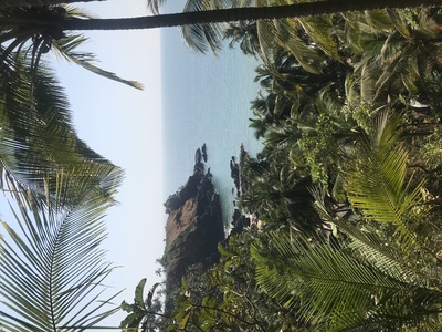 Джунгли и море