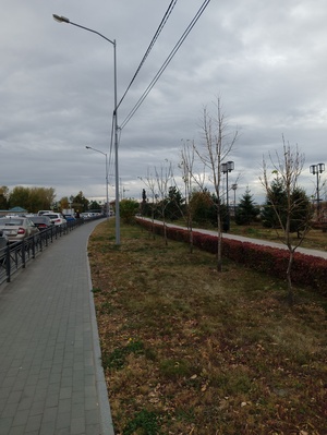 Улица