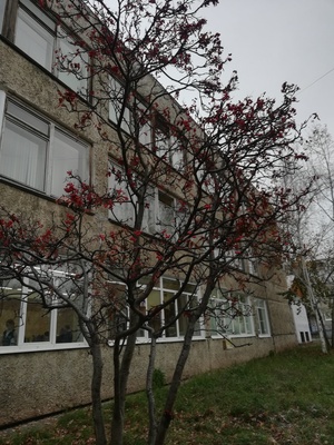 Город