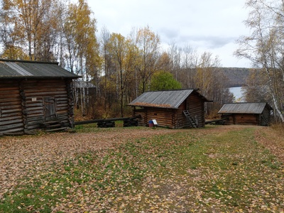 Лес