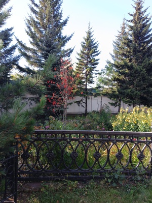 Город